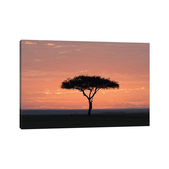 Africa, Kenya, Amboseli National Park. Sunrise Backlights Umbrella Thorn Acacia Tree by Jaynes Gallery - Wrapped Canvas Print Latitude Run Size: 20.32 on Productcaster.