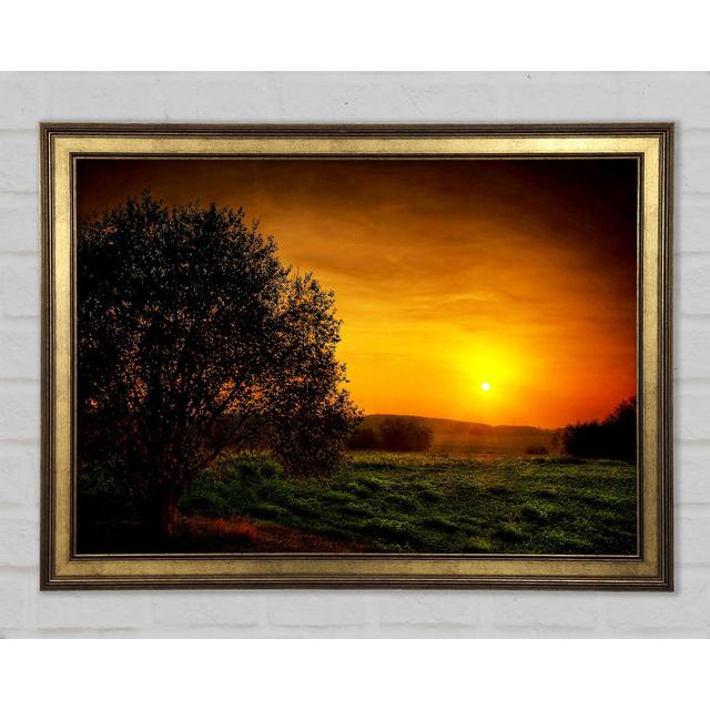 Yorkshire Dales Glow - Single Picture Frame Art Prints Rosalind Wheeler Size: 21cm H x 29.7cm W x 1.5cm D on Productcaster.