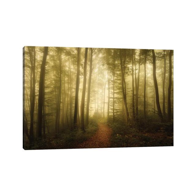 Charm of the Ephemeral by Norbert Maier - Wrapped Canvas Photograph Alpen Home Size: 45.72cm H x 66.04cm W x 1.91cm D on Productcaster.