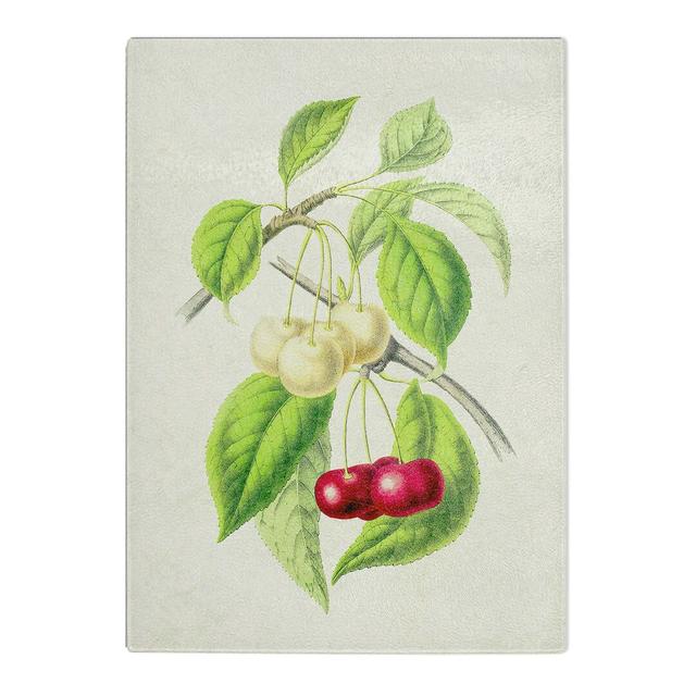 Tempered Glass Illustration of Cherries Chopping Board East Urban Home Size: 20 cm x 28.5 cm on Productcaster.