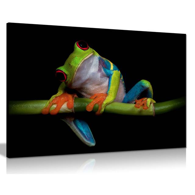 Colourful Red-eyed Frog Nature Artistic - Wrapped Canvas Art Prints Panther Print Size: 91cm H x 61cm W on Productcaster.