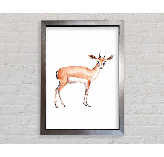 Springbok - Print Bright Star Size: 118.9cm H x 84.1cm W x 3.4cm D on Productcaster.