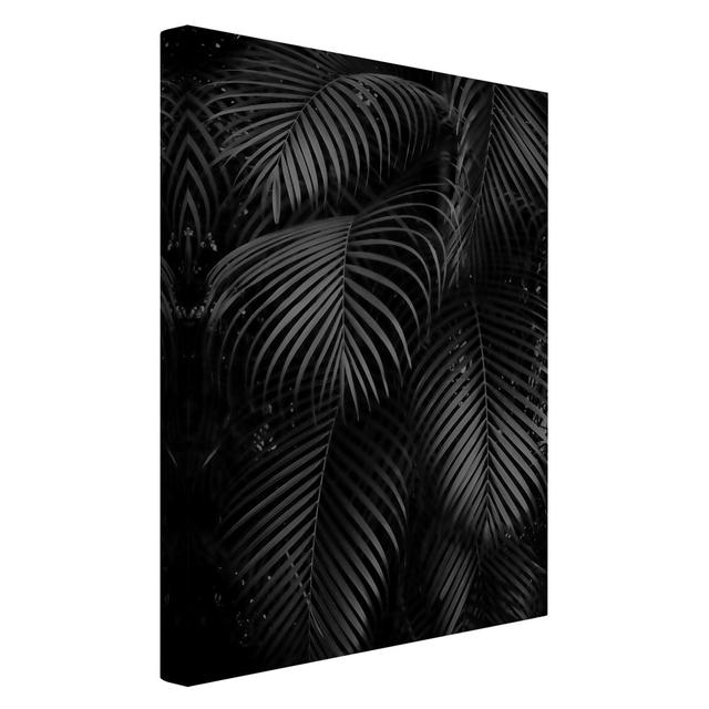 Leinwandbild Black Palm Fronds Sansibar Home Format: 260 g/m² Canvas, Größe: 60 cm H x 40 cm B, Gerahmte Option: Grau on Productcaster.