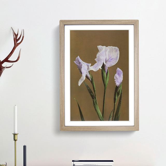 Irises by Kazumasa Ogawa - Picture Frame Painting Print East Urban Home Size: 65cm H x 48cm W x 2cm D, Frame Option: Oak Framed on Productcaster.