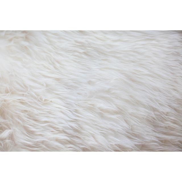 White Fur Texture Background by Marco_Piunti - Print Fairmont Park Size: 61cm H x 91cm W x 3.8cm D on Productcaster.