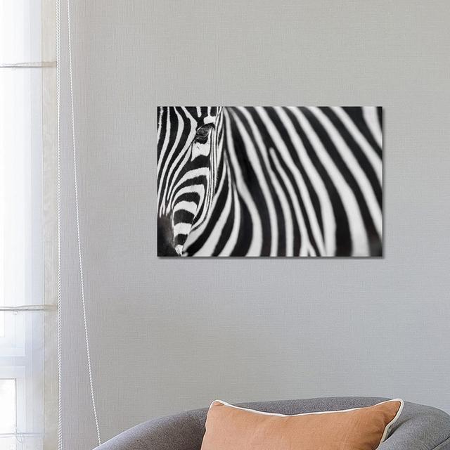 Zebra 20 by Goran Anastasovski - Wrapped Canvas Print Latitude Run Size: 45.72cm H x 66.04cm W x 3.81cm D on Productcaster.