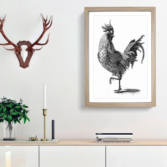 A Cock In Black And White by Johan Teyler - Single Picture Frame Print East Urban Home Size: 63cm H x 45cm W x 2cm D, Frame Option: Oak Framed on Productcaster.