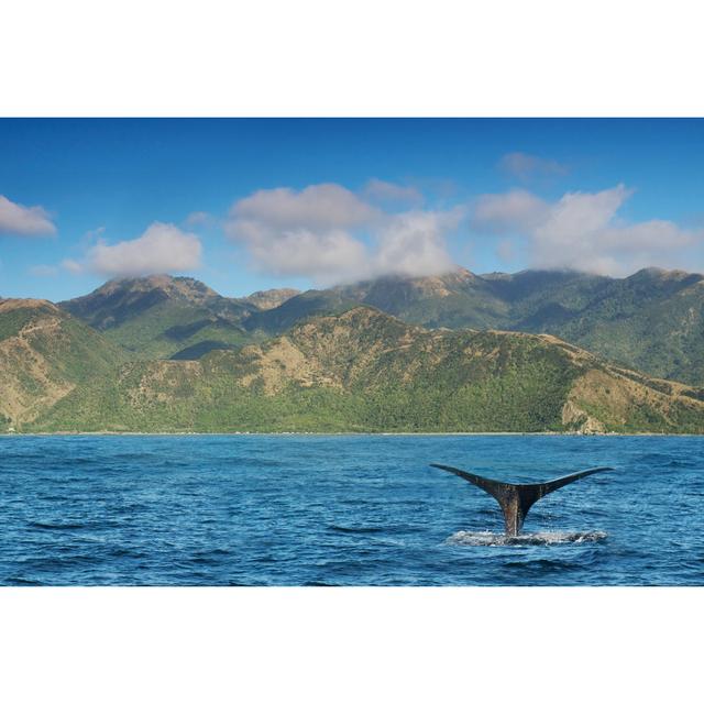 Whale Watching by Kokkai Ng - Wrapped Canvas Art Prints Wall Art Production Network Size: 51cm H x 76cm W x 3.8cm D on Productcaster.