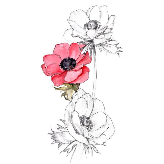 Anemone By Number II - Wrapped Canvas Painting Marlow Home Co. Size: 91cm H x 61cm W on Productcaster.