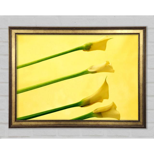 Yellow Trumpet Flowers - Single Picture Frame Art Prints Ebern Designs Size: 59.7cm H x 42cm W x 1.5cm D on Productcaster.