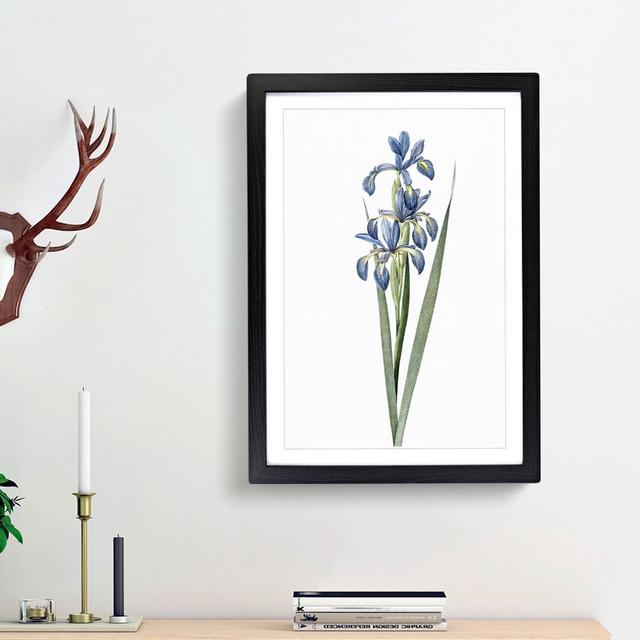 Blue Iris Flowers by Pierre-Joseph Redoute - Picture Frame Art Print East Urban Home Frame Option: Black Framed, Size: 65cm H x 48cm W x 2cm D on Productcaster.