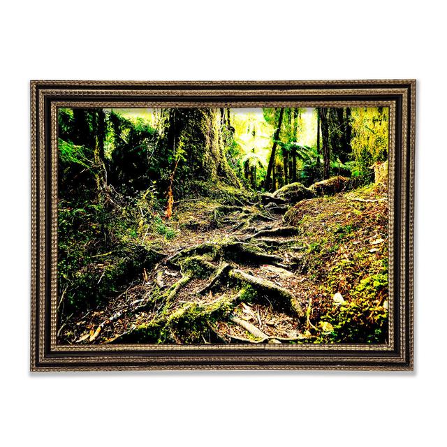 Roots Framed Print Union Rustic Size: 84.1cm H x 118.9cm W x 3cm D on Productcaster.