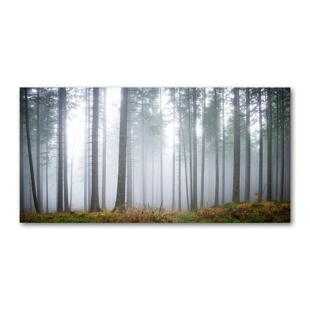 Nebel im Wald - Kunstdrucke auf Leinwand - Wrapped Canvas Alpen Home on Productcaster.