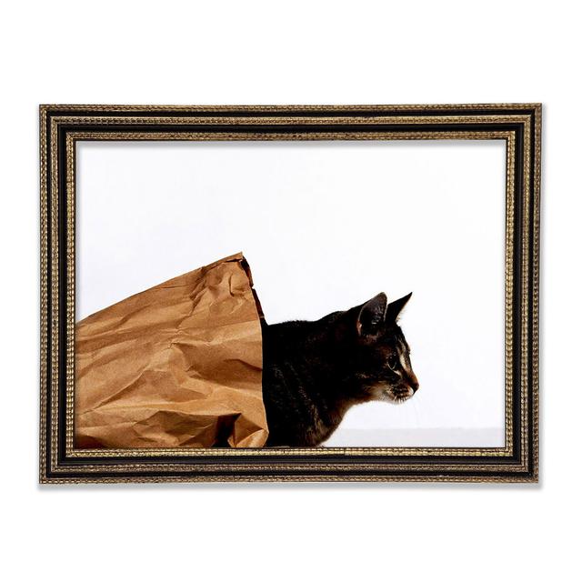 Cat In A Bag - Print Ebern Designs Size: 59.7cm H x 84.1cm W x 3cm D on Productcaster.