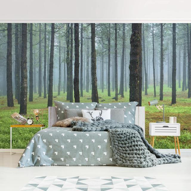 Matt Fototapete Tiefer Wald mit Kiefern auf La Palma 1,9 m x 288 cm East Urban Home Größe: 225 cm L x 336 cm B on Productcaster.