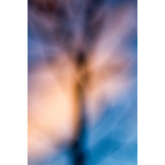 The Blurred Tree Branch by Vadven - Wrapped Canvas Photograph Metro Lane Size: 91cm H x 61cm W on Productcaster.