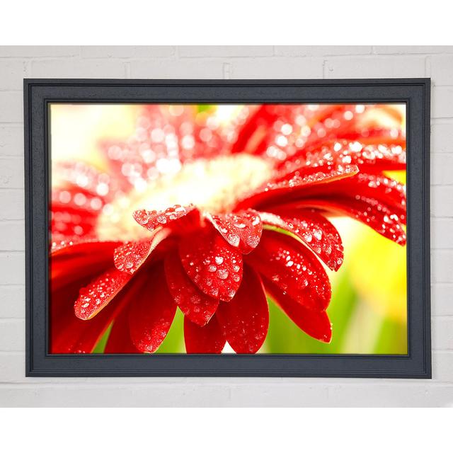 Single Picture Frame Art Prints Ebern Designs Size: 21cm H x 29.7cm W on Productcaster.