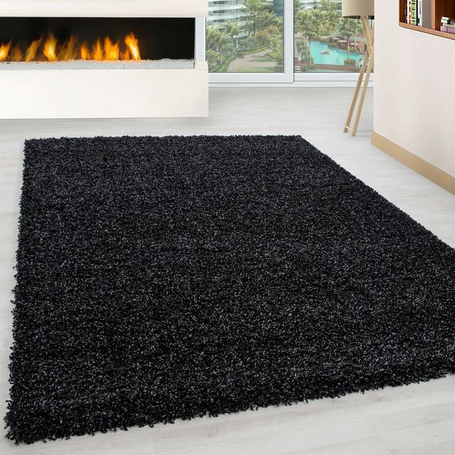 Bryant Dark Grey Area Rug Etta Avenue Rug Size: Rectangle 110 x 160cm on Productcaster.