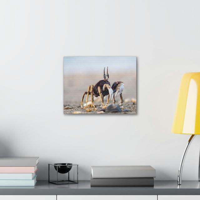 Crab Hunting Crab on Hunt Print Animal Wall Art Highland Dunes on Productcaster.