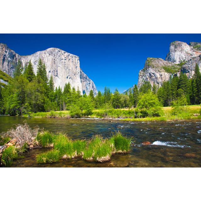 Yosemite Valley by Anna Zimbelmann - Wrapped Canvas Print Union Rustic Size: 20cm H x 30cm W x 3.8cm D on Productcaster.