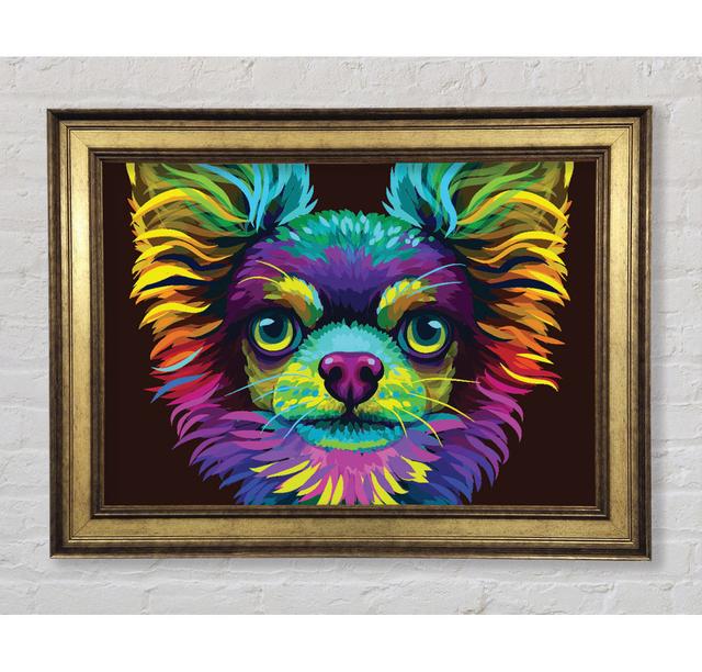 Chihuahua Stare Head - Single Picture Frame Art Prints Bright Star Size: 29.7cm H x 42cm W x 8cm D on Productcaster.