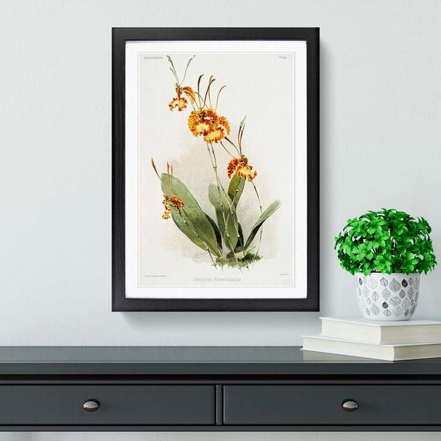 Magnolia Flowers Illustration Tab. 84 by Frederick Sander - Picture Frame Painting Print East Urban Home Size: 91cm H x 60cm W x 2cm D, Frame Option: on Productcaster.