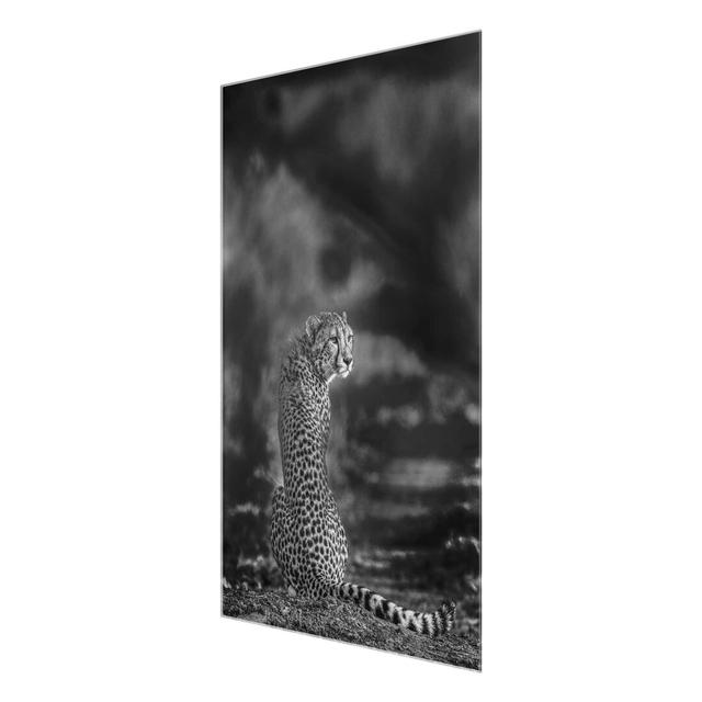 Glasbild Cheetah in Wild Nature East Urban Home Größe: 80 cm H x 60 cm B x 0,4 cm T on Productcaster.