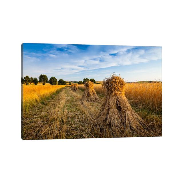 Poland, Jura, Harvest by Mikolaj Gospodarek - Wrapped Canvas Rectangle Photograph Print on Canvas Brambly Cottage Size: 20.32cm H x 30.48cm W x 1.905c on Productcaster.