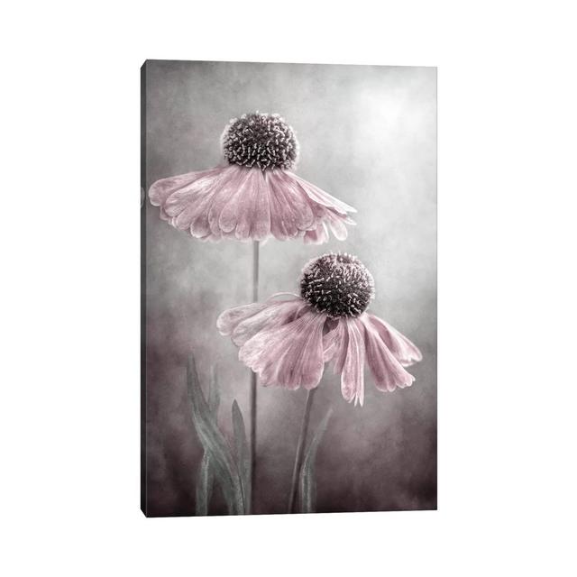 Duet by Mandy Disher - Wrapped Canvas Painting Marlow Home Co. Size: 45.72cm H x 30.48cm W x 1.905cm D on Productcaster.