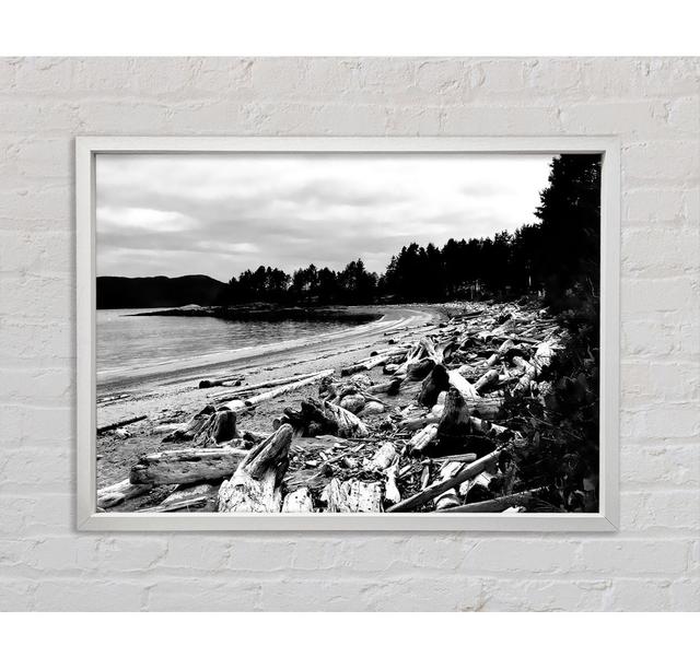 Black And White Driftwood Ocean - Single Picture Frame Art Prints on Canvas Bright Star Size: 84.1cm H x 118.9cm W x 3.3cm D on Productcaster.