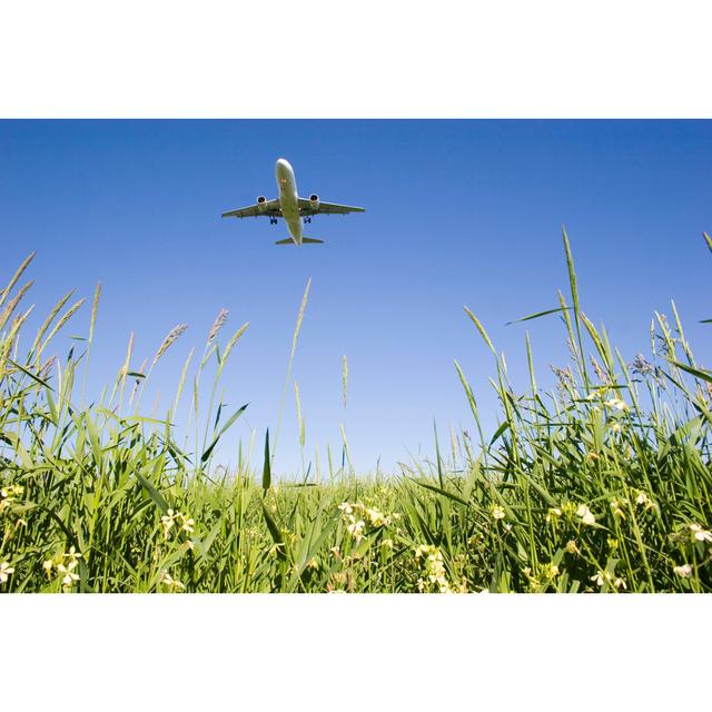 Airplane Over Grassy Field 2 - Wrapped Canvas Print Ebern Designs Size: 30cm H x 46cm W on Productcaster.