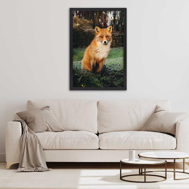 Gerahmtes Poster Fox In The Forest Alpen Home Größe: 45 cm H x 30 cm B x 2 cm T on Productcaster.