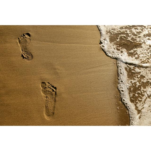 Footprints on beach House of Hampton Size: 51cm H x 76cm W x 3.8cm D on Productcaster.