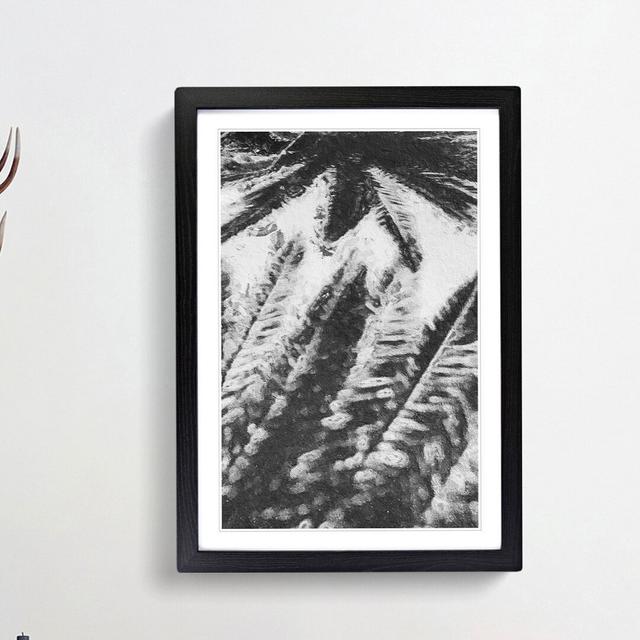 Palm Tree Shadows - Picture Frame Painting Print East Urban Home Frame Option: Black Framed, Size: 36cm H x 27cm W x 2cm D on Productcaster.