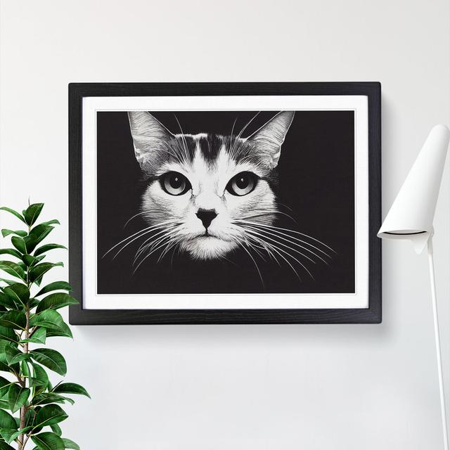 Magical Cat - Single Picture Frame Print 17 Stories Frame Colour: Black, Size: 25cm H x 34cm W x 2cm D on Productcaster.