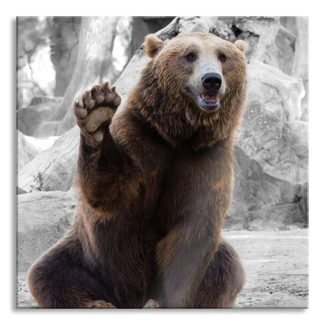 Big Bear Says Hello - Unframed Photograph on Glass Union Rustic Size: 60cm H x 60cm W x 0.4cm D on Productcaster.