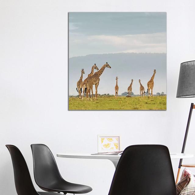 Colour Giraffe Herd I by Klaus Tiedge - Wrapped Canvas Photograph Latitude Run Size: 93.98cm H x 93.98cm W x 1.91cm D on Productcaster.