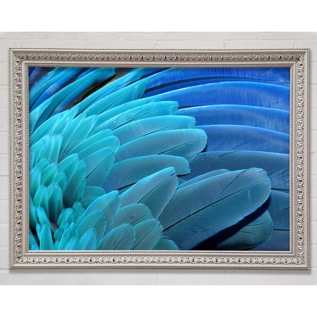 Parrot Feathers - Single Picture Frame Art Prints Bright Star Size: 42cm H x 59.7cm W x 3cm D on Productcaster.