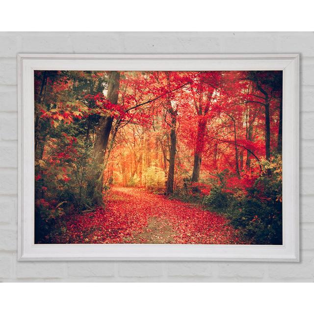 Red Tree Walk Framed Print Bright Star Size: 29.7cm H x 42cm W x 1.5cm D on Productcaster.