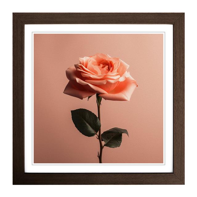 Rose Minimalism - Print Marlow Home Co. Frame Colour: Walnut on Productcaster.