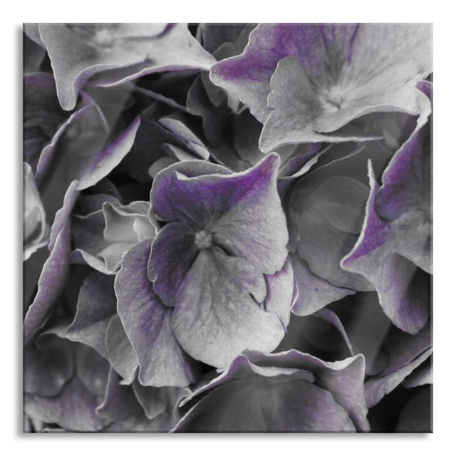 Hydrangea Flower - No Frame Print on Glass Brayden Studio Size: 70cm H x 70cm W x 0.4cm D on Productcaster.