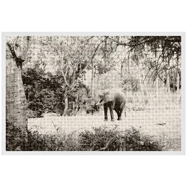 Elephant Jungle - Single Picture Frame Art Prints Alpen Home Size: 31cm H x 46cm W x 4cm D, Frame Option: White on Productcaster.