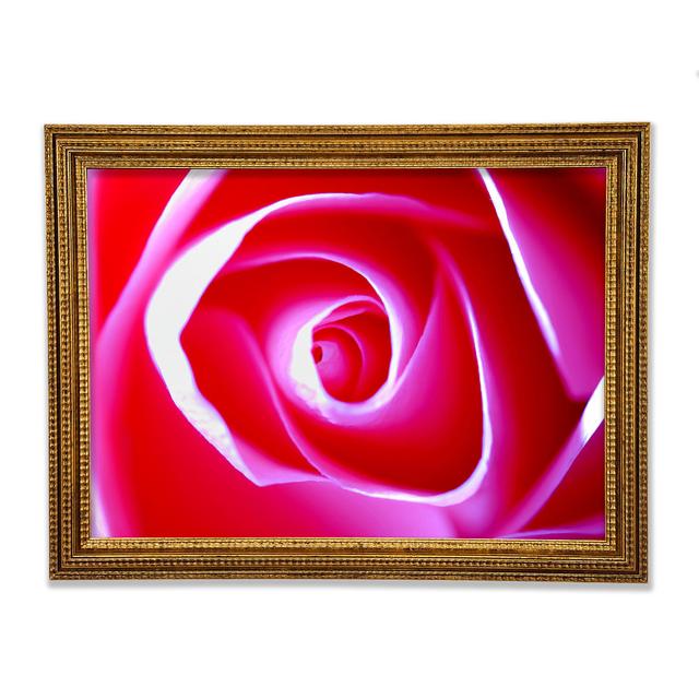 Single Picture Frame Art Prints Ebern Designs Size: 84.1cm H x 118.9cm W on Productcaster.