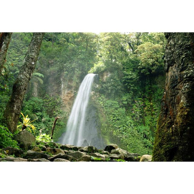 Dees Tropical Waterfall - Wrapped Canvas Photograph Alpen Home Size: 81cm H x 122cm W x 3.8cm D on Productcaster.