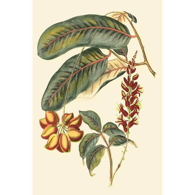 Foliage Flowers & Fruit IV Rosalind Wheeler Size: 91cm H x 61cm W on Productcaster.