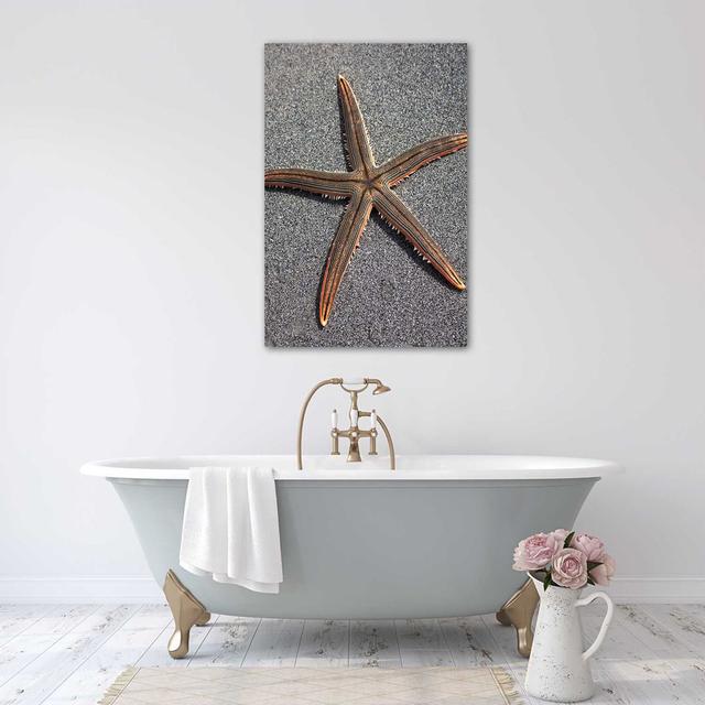 Poster Starfish On The Seashore House of Hampton Größe: 30 cm H x 20 cm B x 1 cm T on Productcaster.