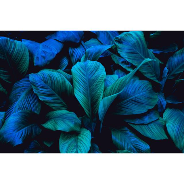 Skopelos Leaves Of Spathiphyllum Cannifolium - Wrapped Canvas Photograph Bay Isle Home Size: 51cm H x 76cm W x 3.8cm D on Productcaster.