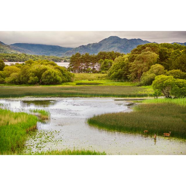 Killarney National Park Scenic by Janine Lamontagne - Wrapped Canvas Print Alpen Home Size: 30cm H x 46cm W on Productcaster.