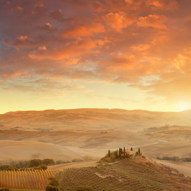 Farm in tuscany Alpen Home Size: 91cm H x 91cm W on Productcaster.