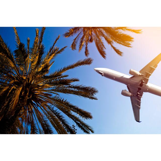 Airliner Passing Over Palm Trees by Aylinstock - Print 17 Stories Size: 61cm H x 91cm W on Productcaster.